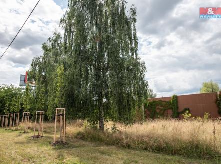 _DSC2519.jpg | Pronájem - pozemek, zahrada, 1 835 m²