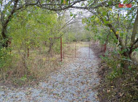 WhatsApp Image 2024-09-02 at 10.25.18 (1).jpeg | Prodej - pozemek, zahrada, 2 804 m²