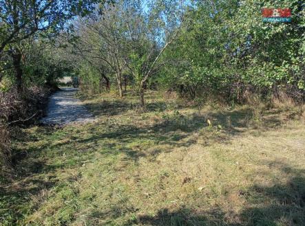 WhatsApp Image 2024-09-02 at 10.25.16 (5).jpeg | Prodej - pozemek, zahrada, 2 804 m²