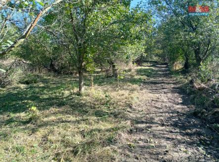 WhatsApp Image 2024-09-02 at 10.25.16 (3).jpeg | Prodej - pozemek, zahrada, 2 804 m²