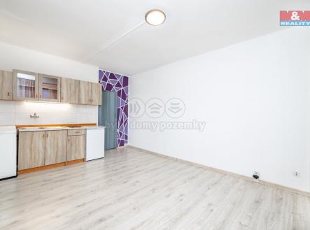 2S1A0003.jpg | Pronájem bytu, 1+kk, 21 m²