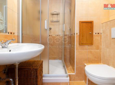 IMG_0825.jpg | Pronájem bytu, 1+kk, 27 m²