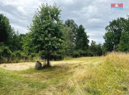 pozemky | Prodej - pozemek, zahrada, 4 816 m²