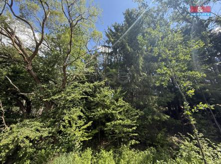 IMG_1701.jpeg | Prodej - pozemek, les, 5 323 m²