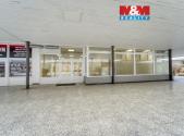 Pronájem - obchodní prostor, 310 m²