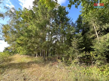 IMG_2773.jpg | Prodej - pozemek, les, 62 499 m²