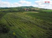Prodej - pozemek, zemědělská půda, 25 918 m²