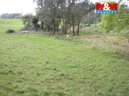 Pozemek | Prodej - pozemek, trvalý travní porost, 2 749 m²