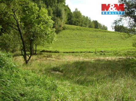 Pozemek | Prodej - pozemek, trvalý travní porost, 2 749 m²