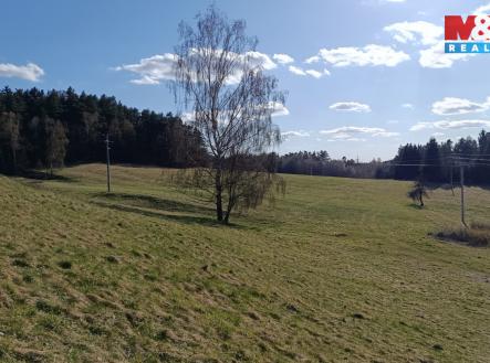 Pozemek | Prodej - pozemek, trvalý travní porost, 2 749 m²