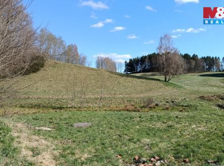 Pozemek | Prodej - pozemek, trvalý travní porost, 2 749 m²