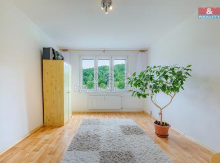 IMG_0498.jpeg | Prodej bytu, 3+1, 62 m²
