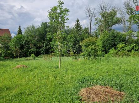 pozemek | Prodej - pozemek pro bydlení, 4 265 m²