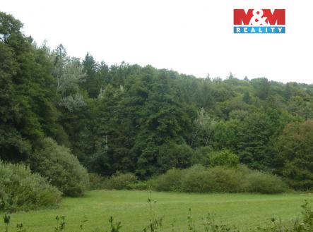 P1640914.jpg | Prodej - pozemek, les, 26 095 m²