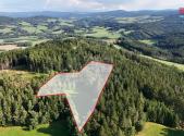 Prodej - pozemek, les, 15 707 m²