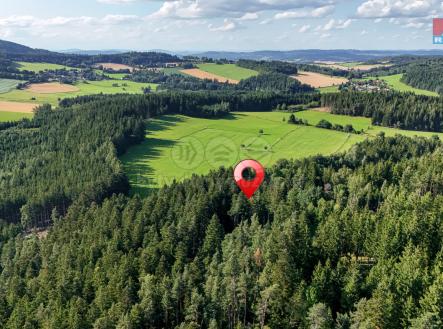 DJI_20250729174456_0182_D.jpg | Prodej - pozemek, les, 15 707 m²