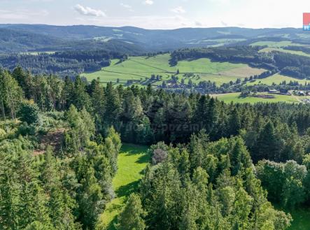 DJI_20250729174951_0192_D.jpg | Prodej - pozemek, les, 15 707 m²