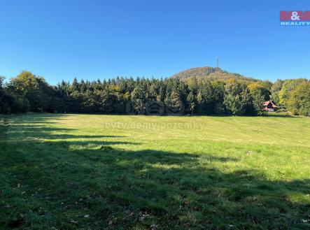 780957-004.jpg | Prodej - pozemek, trvalý travní porost, 15 674 m²
