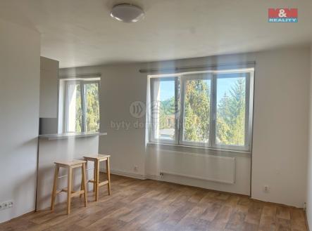 IMG_0252.jpeg | Pronájem bytu, 2+kk, 52 m²