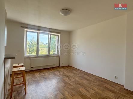 IMG_0254.jpeg | Pronájem bytu, 2+kk, 52 m²