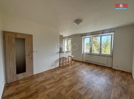 IMG_0251.jpeg | Pronájem bytu, 2+kk, 52 m²
