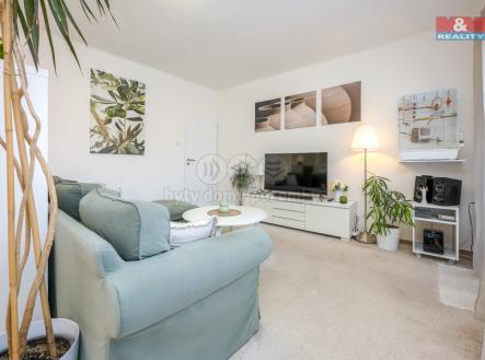 IMG_4149.jpg | Pronájem bytu, 4+1, 100 m²