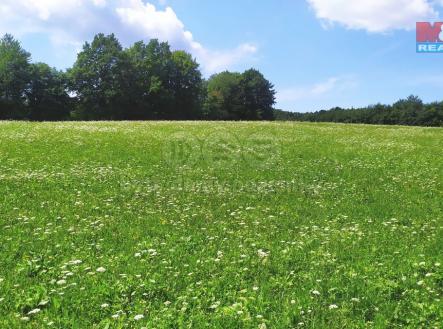 IMG_20250730_123535.jpg | Prodej - pozemek, trvalý travní porost, 4 766 m²