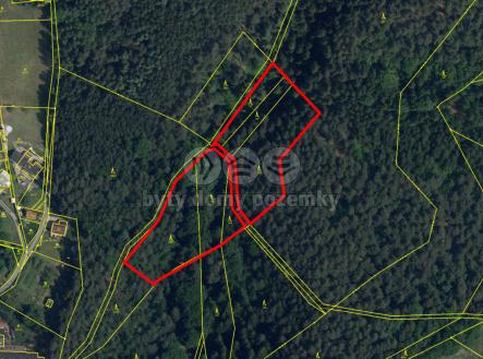 lesní pozemky.jpg | Prodej - pozemek, les, 5 461 m²
