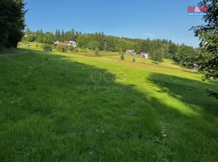 pozemek | Prodej - pozemek, trvalý travní porost, 7 880 m²