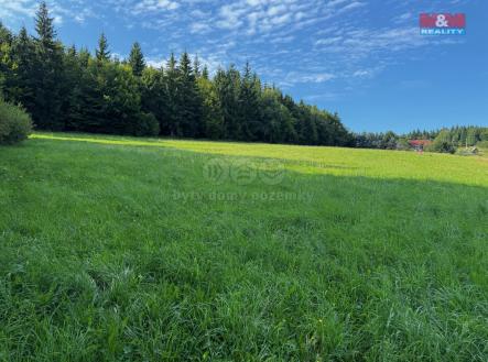 pozemek | Prodej - pozemek, trvalý travní porost, 7 880 m²