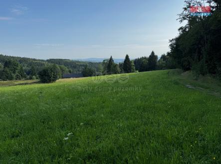 pozemek | Prodej - pozemek, trvalý travní porost, 7 880 m²