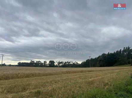 1.jpg | Prodej - pozemek, les, 4 321 m²