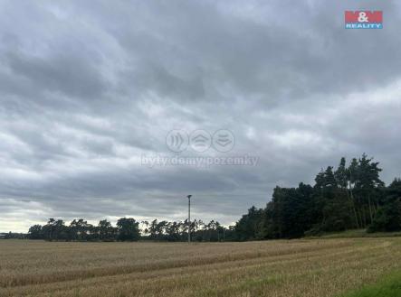 3.jpg | Prodej - pozemek, les, 4 321 m²