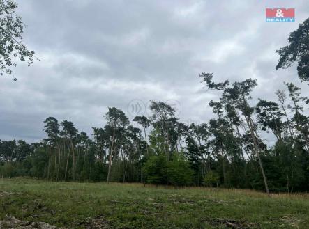 4.jpg | Prodej - pozemek, les, 4 321 m²