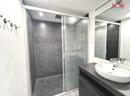 tcheplakova3.jpg | Pronájem bytu, 2+kk, 60 m²