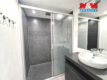 tcheplakova3.jpg | Pronájem bytu, 2+kk, 60 m²