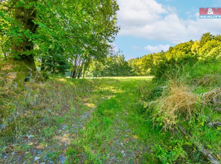 1.jpg | Prodej - pozemek pro bydlení, 7 125 m²