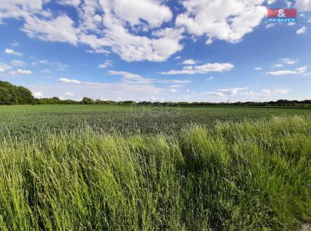 pole.jpg | Prodej - pozemek, zemědělská půda, 3 416 m²
