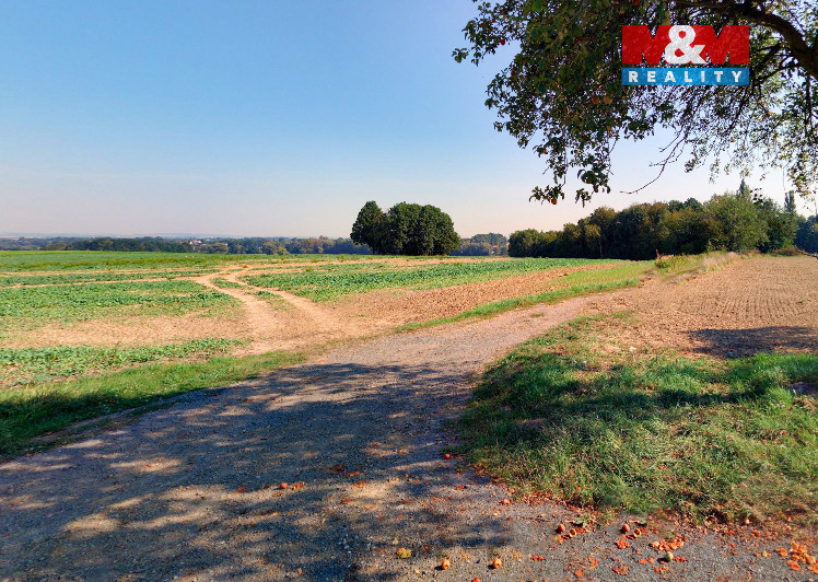 Snímek obrazovky 2025-08-13 154107.jpg