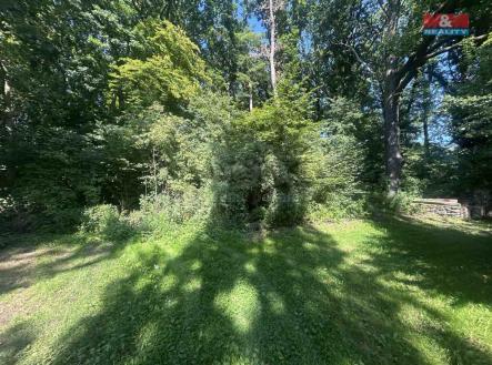 pozemek | Prodej - pozemek, les, 4 812 m²