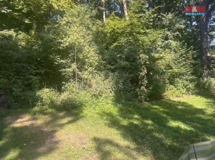 pozemek | Prodej - pozemek, les, 4 812 m²