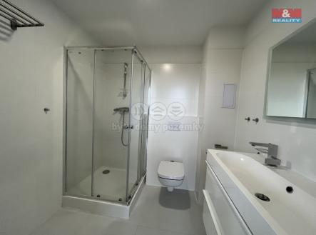 IMG_7428.jpeg | Pronájem bytu, 2+kk, 53 m²