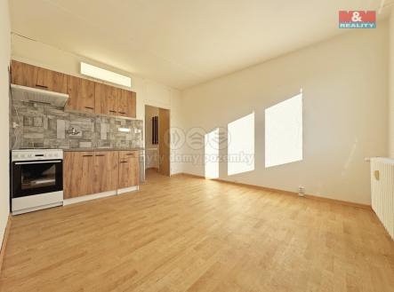 IMG_5149.jpg | Pronájem bytu, 1+kk, 20 m²