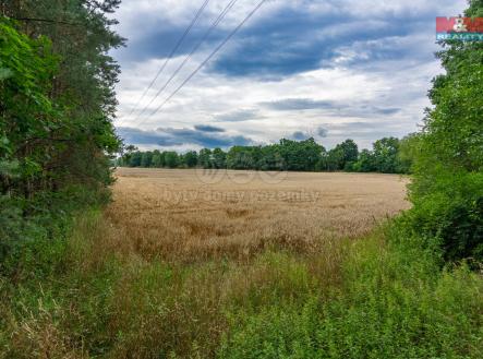 016.jpg | Prodej - pozemek, zahrada, 534 m²