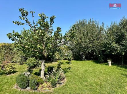 Obrázek WhatsApp, 2025-08-15 v 17.40.33_4d574bec.jpg | Prodej - pozemek, zahrada, 750 m²