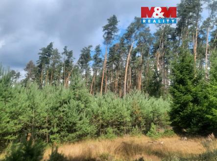 Obrázek WhatsApp, 2025-08-06 v 14.55.52_2eac020a.jpg | Prodej - pozemek, les, 108 447 m²