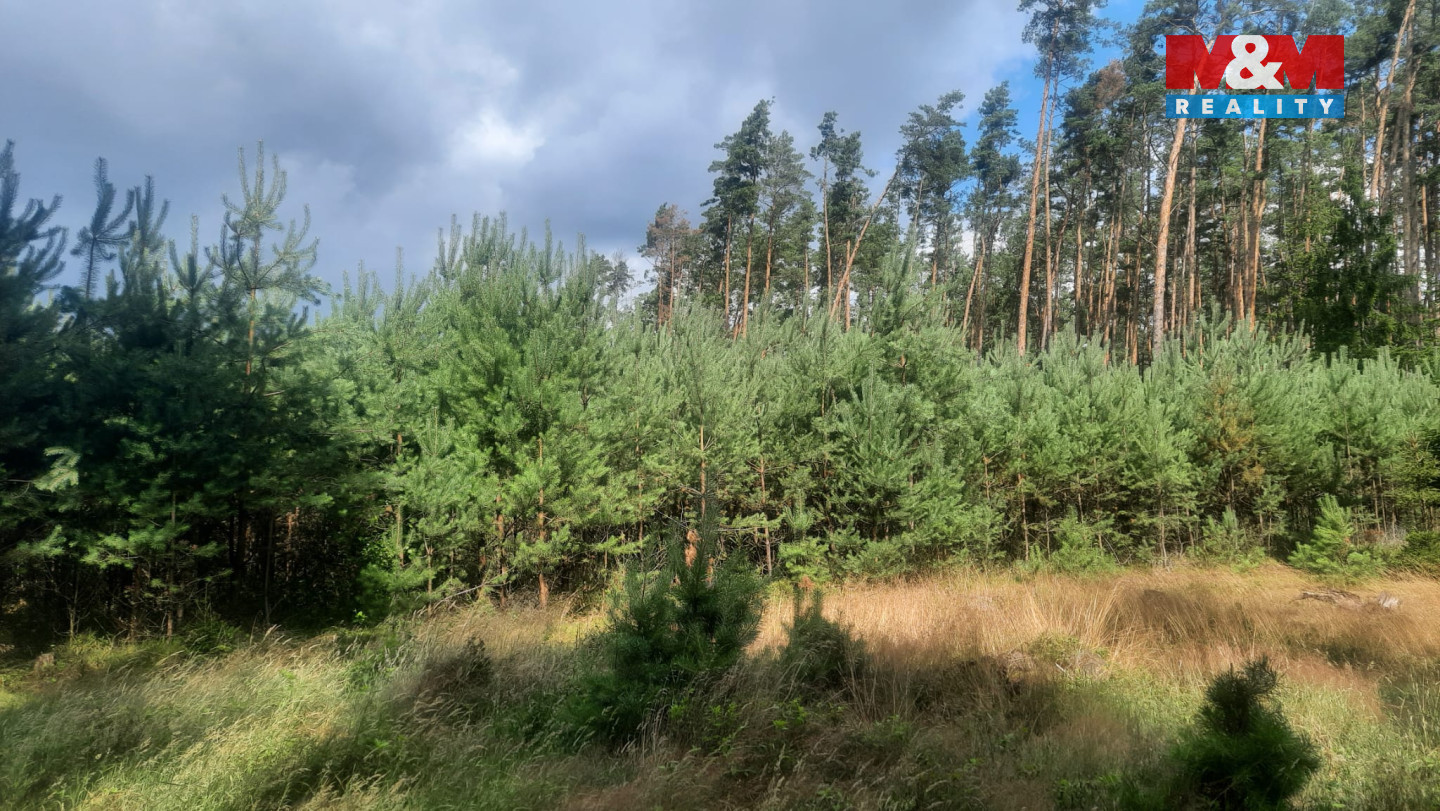 Obrázek WhatsApp, 2025-08-06 v 14.55.52_24e73dc1.jpg