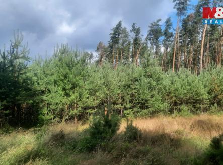 Obrázek WhatsApp, 2025-08-06 v 14.55.52_24e73dc1.jpg | Prodej - pozemek, les, 108 447 m²