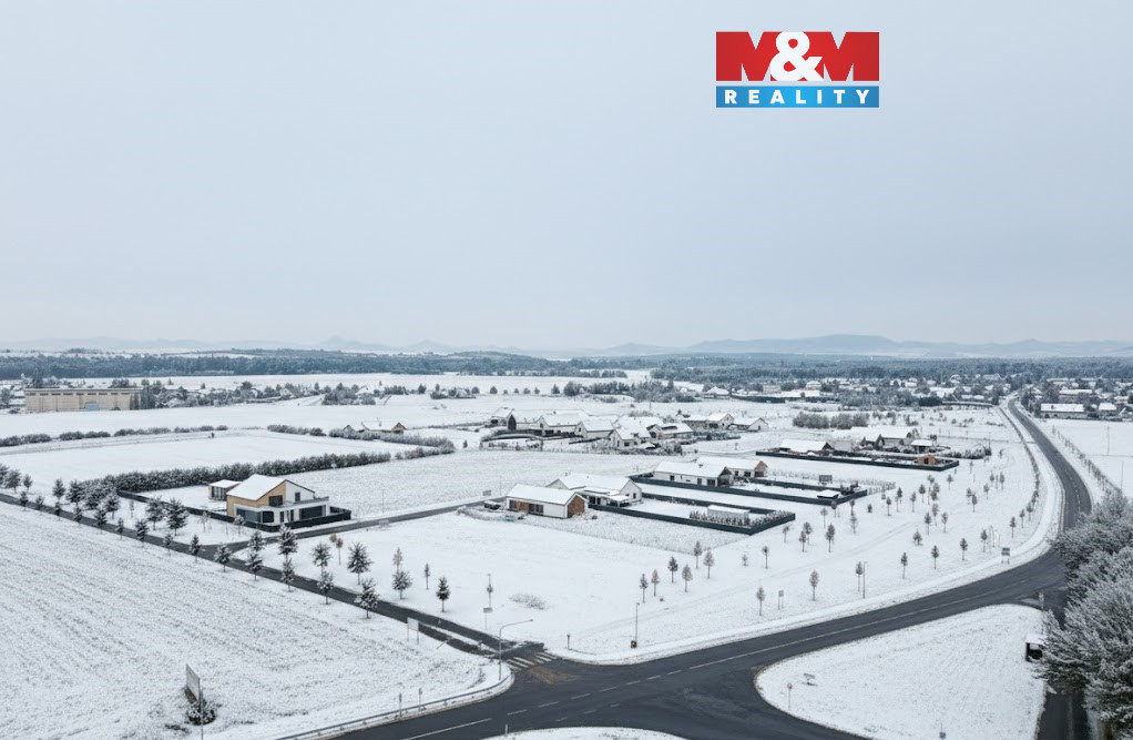 vědomice zímní foto.jpg