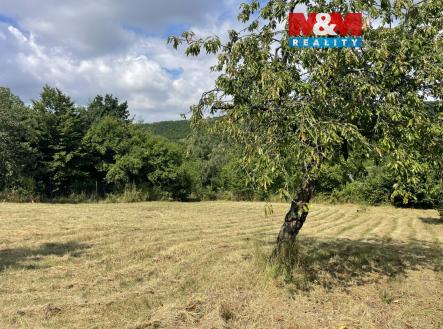 IMG_9172.jpeg | Pronájem - pozemek pro bydlení, 1 928 m²